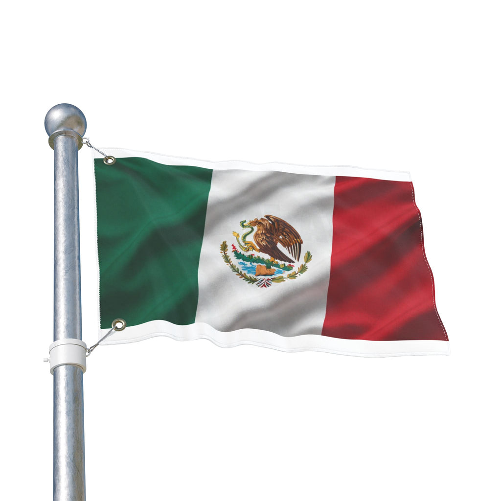 Mexico Flag - Viva México 2026 (Double-Sided)
